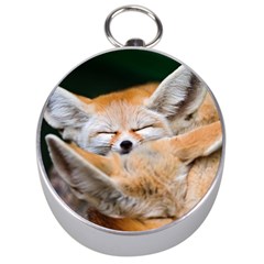 Baby Fox Sleeping Silver Compasses by trendistuff