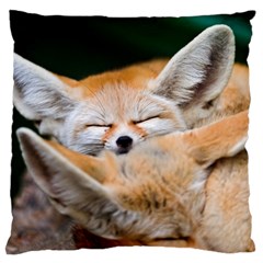 Baby Fox Sleeping Standard Flano Cushion Cases (two Sides) 