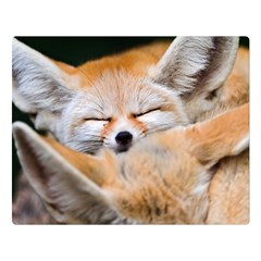 Baby Fox Sleeping Double Sided Flano Blanket (large) 