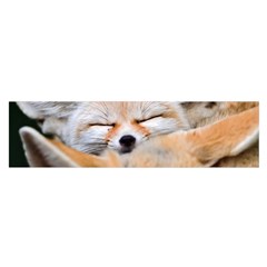 Baby Fox Sleeping Satin Scarf (oblong)