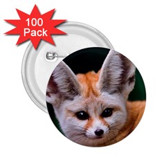 Baby Fox 2 25  Buttons (100 Pack) 