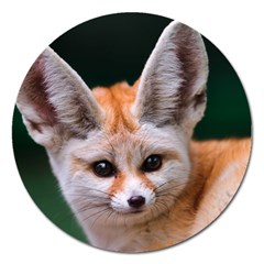 Baby Fox Magnet 5  (round) by trendistuff