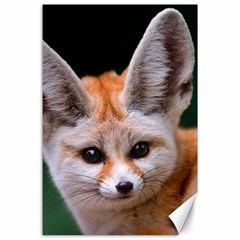 Baby Fox Canvas 24  X 36 