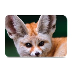 Baby Fox Plate Mats