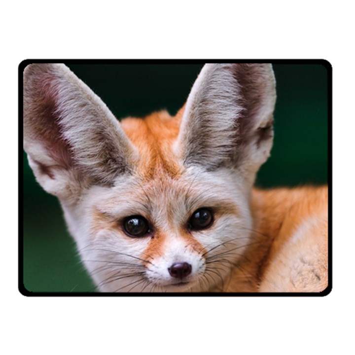 BABY FOX Double Sided Fleece Blanket (Small) 