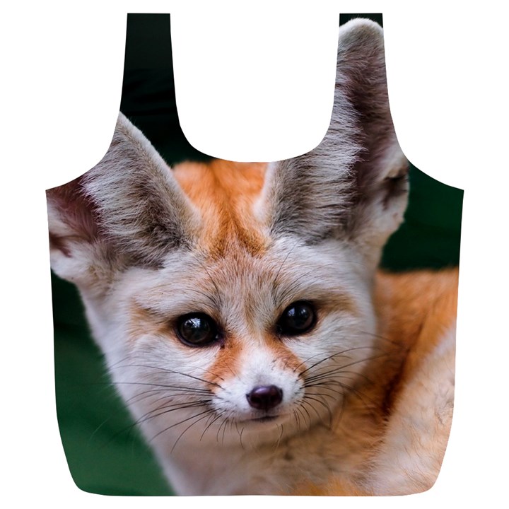 BABY FOX Full Print Recycle Bags (L) 