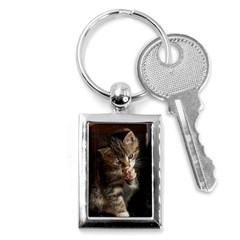 Talk To The Paw Key Chains (rectangle)  by trendistuff