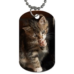 Talk To The Paw Dog Tag (one Side) by trendistuff