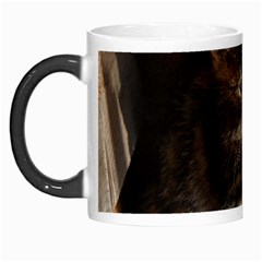 Talk To The Paw Morph Mugs