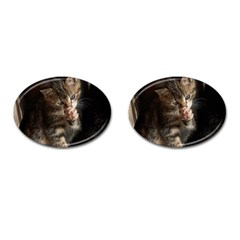 Talk To The Paw Cufflinks (oval) by trendistuff