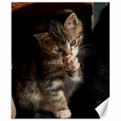 Talk To The Paw Canvas 8  X 10  by trendistuff