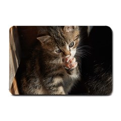 Talk To The Paw Small Doormat  by trendistuff