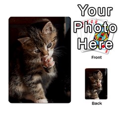 Talk To The Paw Multi-purpose Cards (rectangle)  by trendistuff