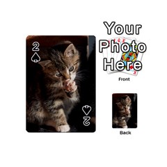 Talk To The Paw Playing Cards 54 (mini) 