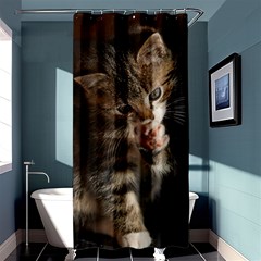 Talk To The Paw Shower Curtain 36  X 72  (stall) 