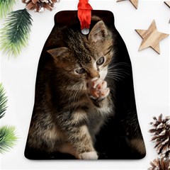 Talk To The Paw Bell Ornament (2 Sides) by trendistuff