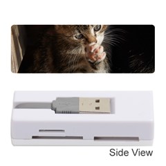 Talk To The Paw Memory Card Reader (stick) 