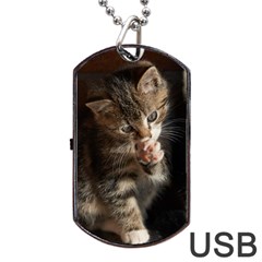 Talk To The Paw Dog Tag Usb Flash (one Side)