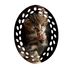 Talk To The Paw Oval Filigree Ornament (2-side)  by trendistuff