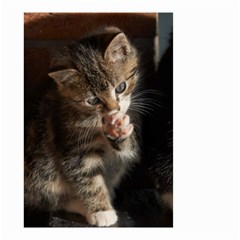 Talk To The Paw Small Garden Flag (two Sides)