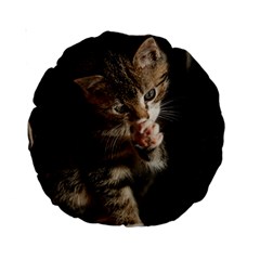 Talk To The Paw Standard 15  Premium Round Cushions by trendistuff