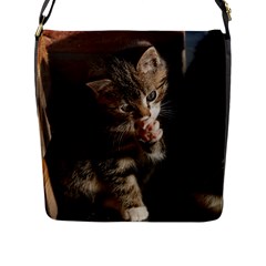 Talk To The Paw Flap Messenger Bag (l)  by trendistuff