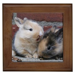 Small Baby Rabbits Framed Tiles by trendistuff