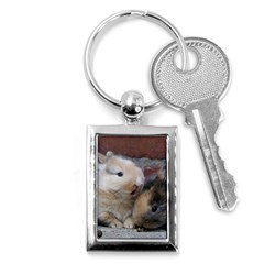 Small Baby Rabbits Key Chains (rectangle)  by trendistuff