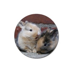 Small Baby Rabbits Magnet 3  (round) by trendistuff