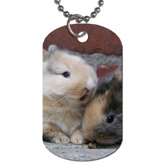 Small Baby Rabbits Dog Tag (two Sides) by trendistuff