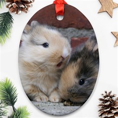 Small Baby Rabbits Oval Ornament (two Sides) by trendistuff