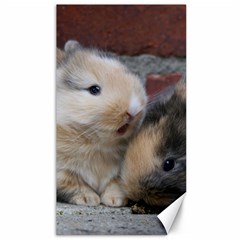 Small Baby Rabbits Canvas 40  X 72   by trendistuff