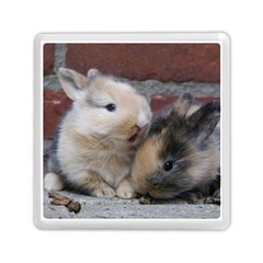 Small Baby Rabbits Memory Card Reader (square) 