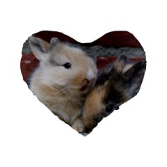 Small Baby Rabbits Standard 16  Premium Heart Shape Cushions by trendistuff