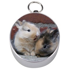 Small Baby Rabbits Silver Compasses