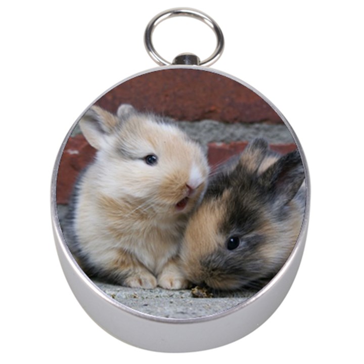 SMALL BABY RABBITS Silver Compasses