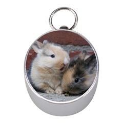 Small Baby Rabbits Mini Silver Compasses