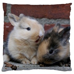 Small Baby Rabbits Standard Flano Cushion Cases (one Side) 