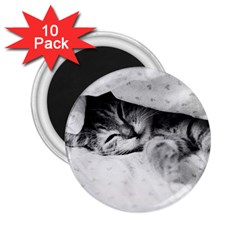 Sleepy Kitty 2 25  Magnets (10 Pack)  by trendistuff