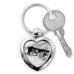 Sleepy Kitty Key Chains (heart)  by trendistuff