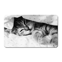 Sleepy Kitty Magnet (rectangular) by trendistuff