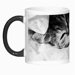 Sleepy Kitty Morph Mugs by trendistuff