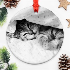 Sleepy Kitty Round Ornament (two Sides)  by trendistuff