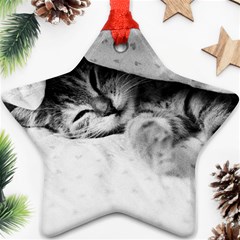 Sleepy Kitty Star Ornament (two Sides)  by trendistuff