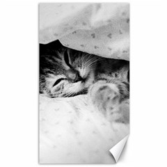 Sleepy Kitty Canvas 40  X 72  