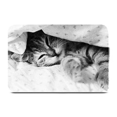 Sleepy Kitty Plate Mats