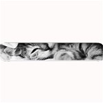 SLEEPY KITTY Small Bar Mats 24 x4  Bar Mat