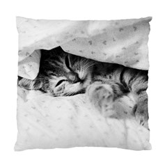 Sleepy Kitty Standard Cushion Case (one Side)  by trendistuff