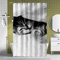 Sleepy Kitty Shower Curtain 48  X 72  (small) 