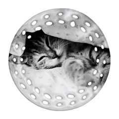 Sleepy Kitty Ornament (round Filigree) 